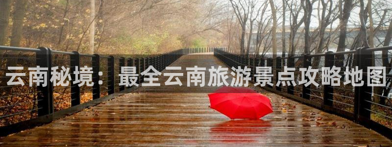 云顶官网com