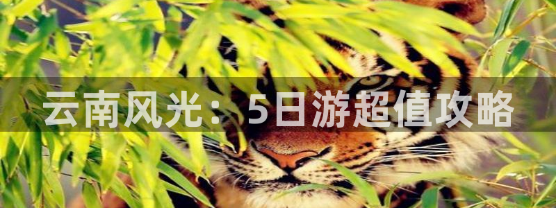 云顶国际集团游戏app|云南风光：5日游超值攻略