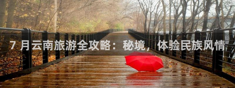 云顶yd222备用线路检测