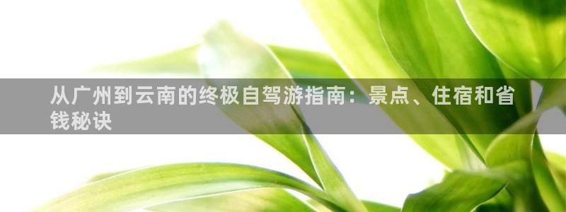 云顶注册送38的网站|从广州到云南的终极自驾游指南：景点、住宿和省
钱秘诀