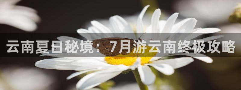 旧版云顶国际yd222登录入口|云南夏日秘境：7月游云南终极攻略