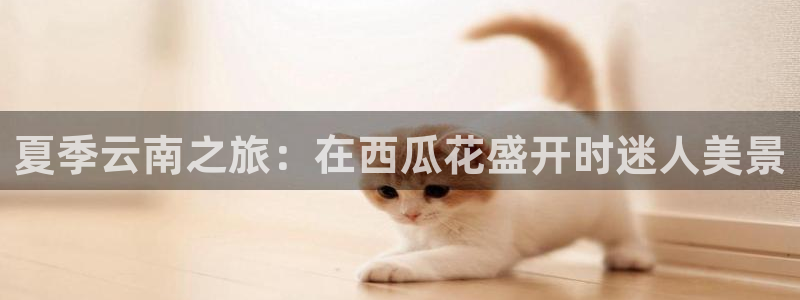 欢迎光临welcome云顶集团|夏季云南之旅：在西瓜花盛开时迷人美景