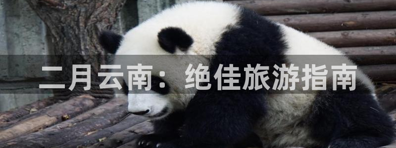 云顶国际集团游戏app|二月云南：绝佳旅游指南