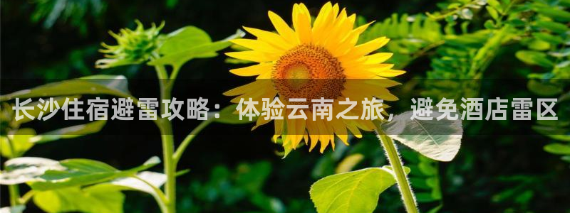云顶国际4008平台|长沙住宿避雷攻略：体验云南之旅，避免酒店雷区